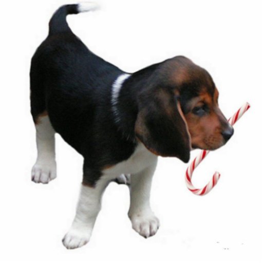Beagle Puppy Ornament Photo Cutout