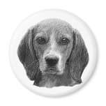 Beagle - Stylised Image magnets