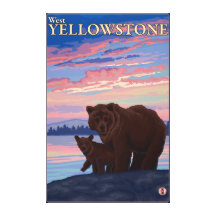 Bear and Cub - West Yellowstone, Montana Gallery Wrapped Canvas