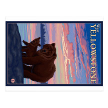 Bear and Cub - West Yellowstone, Montana Postcard