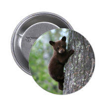 Bear Cub Climbing a Tree Pinback Button