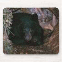 bear in a hole mouse mat