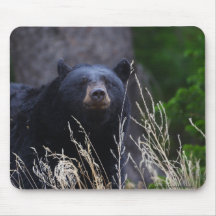bear mouse pad