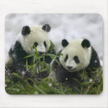 bear mousepad