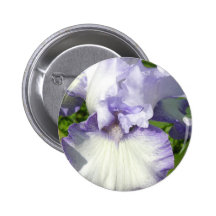 Bearded Iris Button