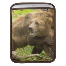 Bears Fighting  iPad Sleeve