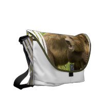 Bears Fighting  Messenger Bag