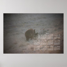 Bears Walking at Sunset; 2013 Calendar Poster