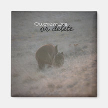 Bears Walking at Sunset; Customisable Refrigerator Magnets