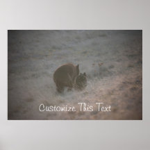 Bears Walking at Sunset; Customisable Print