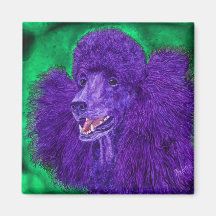 "Beau" - Poodle Magnet