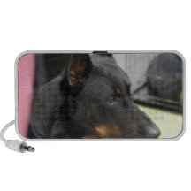 Beauceron  Speakers