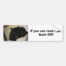 Beautiful black cat bumper sticker