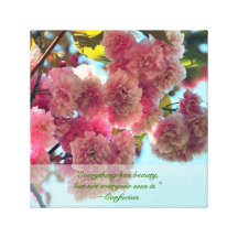 Beautiful Blossoms Canvas Prints
