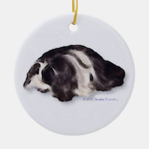 Beautiful Coronet Cavy Art Ornament