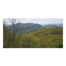Beautiful day cards custom photo card