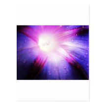 Beautiful Design Art Flowers Floral Flowers Colour Postcard