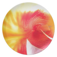 Beautiful Flower Party Plates