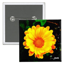 Beautiful Flower Pinback Button