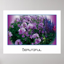 Beautiful Flowers Posters