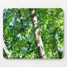 Beautiful Forest Mousepad