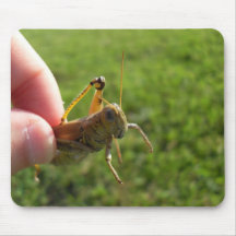 Beautiful Grass Hopper In Hand Mousepad