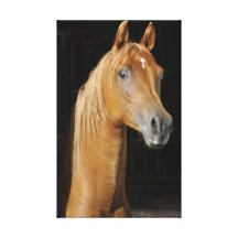 Beautiful Horse Canvas Prints