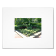 Beautiful Landscaping Photo