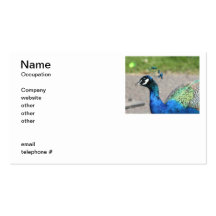 Beautiful Peacock Business Cards