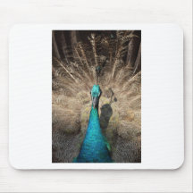 Beautiful peacock mouse pads