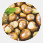 Beautiful Picture Of Conkers With A Leaf Round Stickers