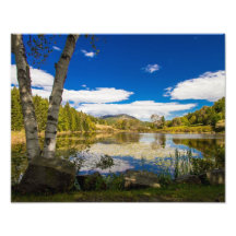 Beautiful pond photograph