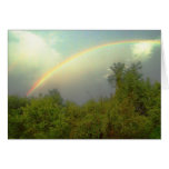 Beautiful Rainbow Cards