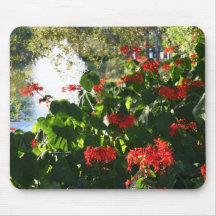Beautiful Red Flowers Mousepad