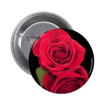 Beautiful red rose with reflection. button