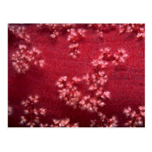 Beautiful Red Sea soft corals Post Cards