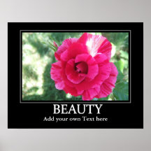 Beautiful Rose poster inspirations