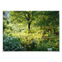 Beautiful Scene 7x5 Photographic Print