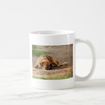 Beautiful Sleeping Dog Coffee Mugs
