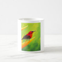 Beautiful Sunbird Painting!  NZ Artist Elena Esina Coffee Mugs