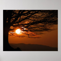 Beautiful Sunset Posters