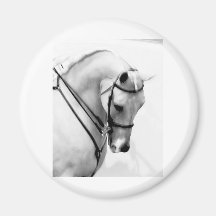 Beautiful white Horse head Fridge Magnets