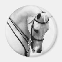 Beautiful white Horse head Refrigerator Magnets