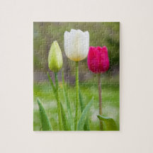 Beautiful white pink spring tulips photo jigsaw puzzle