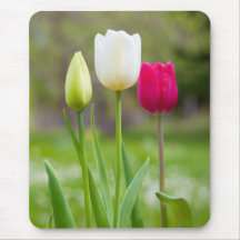 Beautiful white pink spring tulips photo mousepad