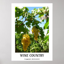 Beautiful Wine Country Poster!