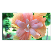 Beautiful Yellow, Orange and Pink Hibiscus Flower Business Card Templates