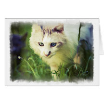 'Beauty' Card