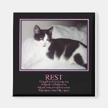 Beauty Rest Fridge Magnets