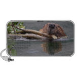 beaver laptop speaker